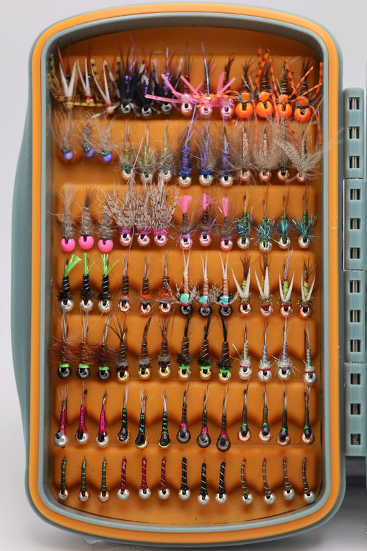 155 Count Guide Box
