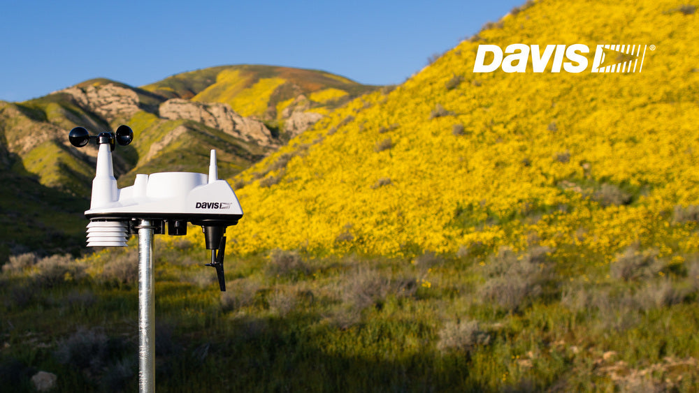 The Essential Guide to Home Weather Stations