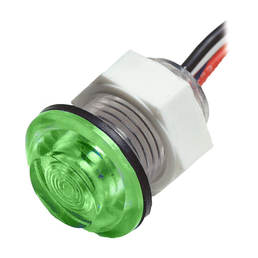 Livewell Lights | SendIt Sailing