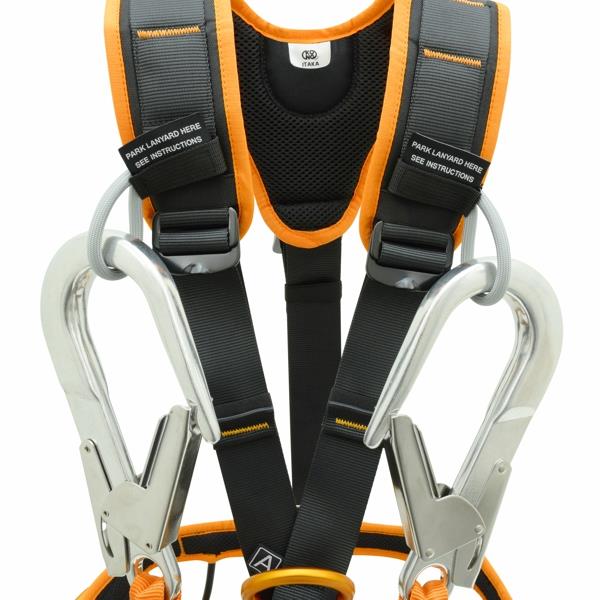 V-LOOP