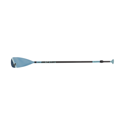 Premium 2-Piece Carbon Paddle & Bag