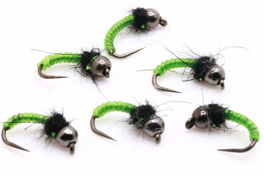 Caddis Larva