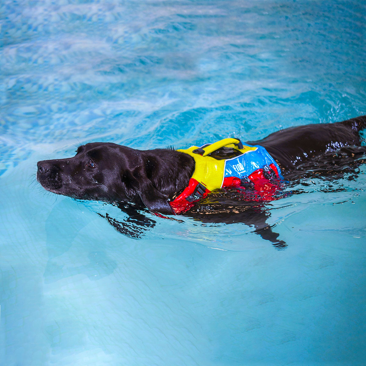 Spinlock FIDO Flotation Device for Dogs