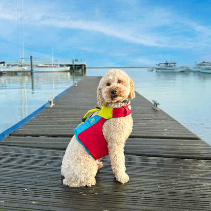 Spinlock FIDO Flotation Device for Dogs