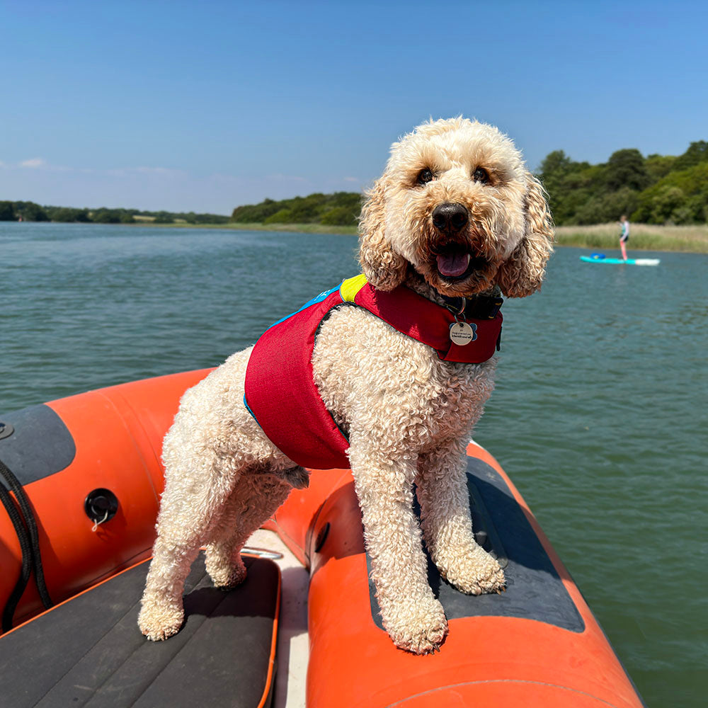 Spinlock FIDO Flotation Device for Dogs