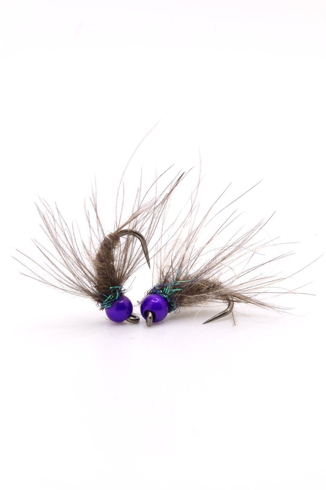 Violet Hare’s Ear CDC