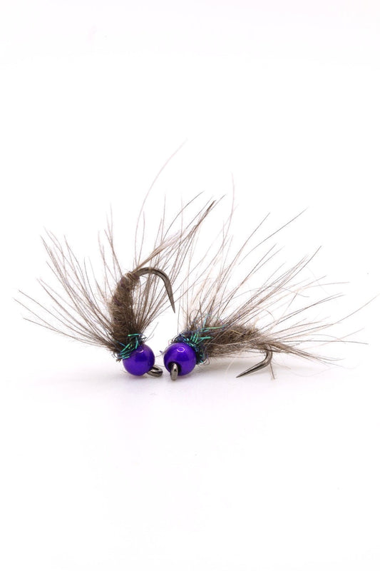 Violet Hare’s Ear CDC