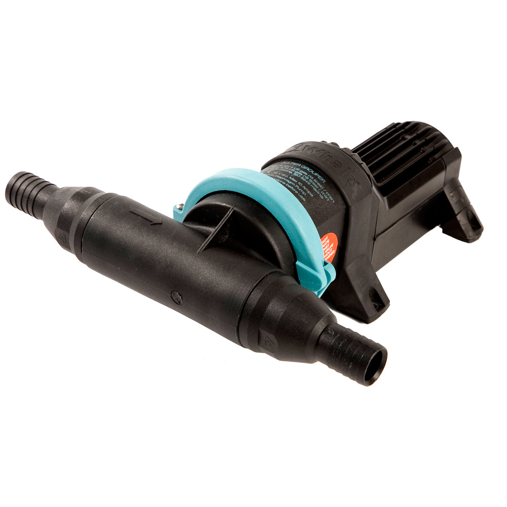 Whale Gulper Grouper Fishbox Evacuation Pump 12V | SendIt Sailing