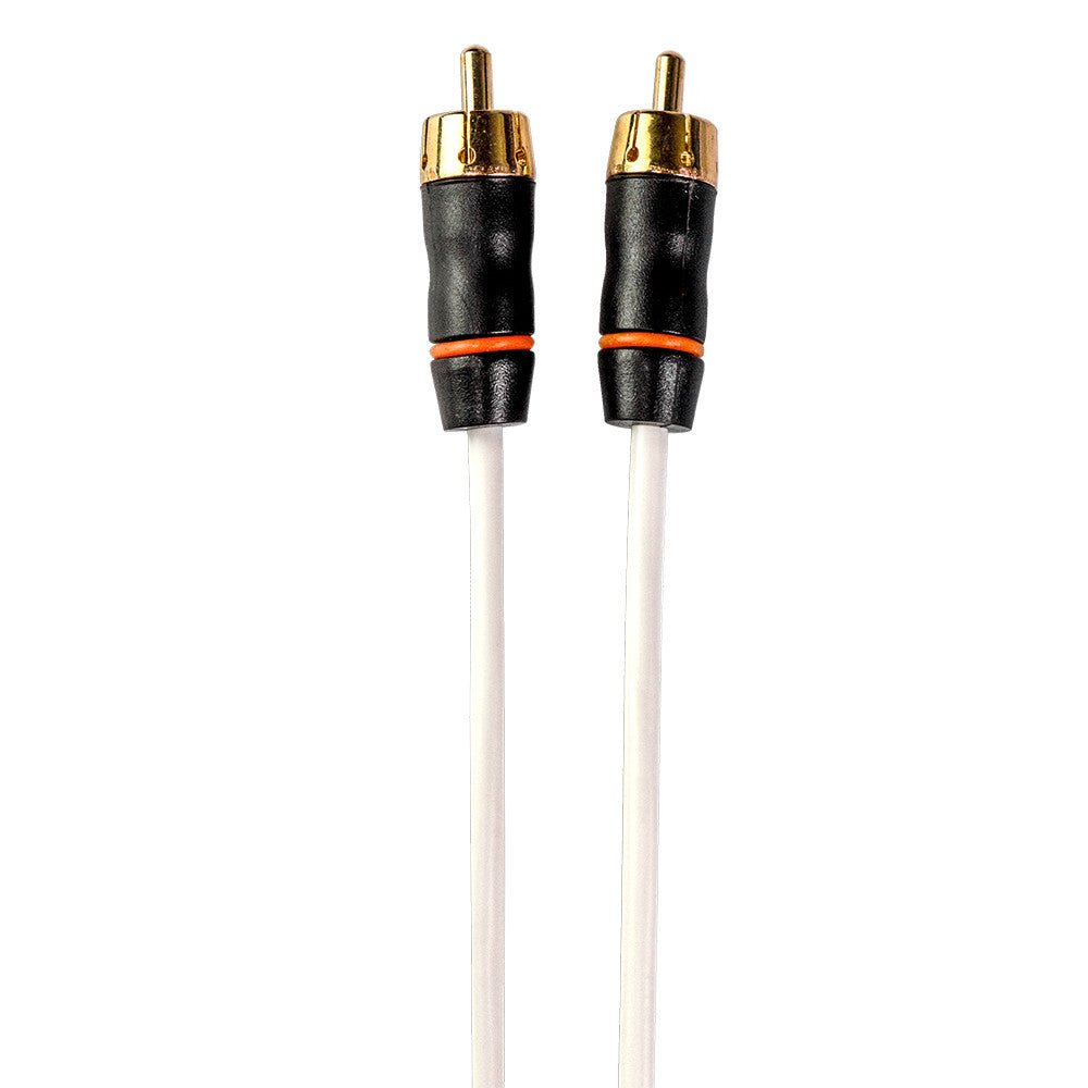 Fusion Performance RCA Cable - 1 Channel - 6' | SendIt Sailing